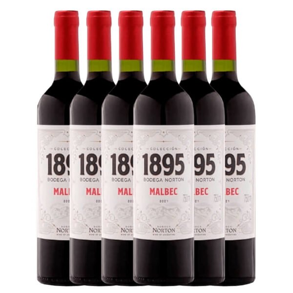 Kit 6 garrafas vinho tinto 1895 Norton malbec