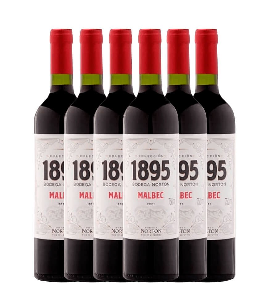 Kit 6 garrafas vinho tinto 1895 Norton malbec