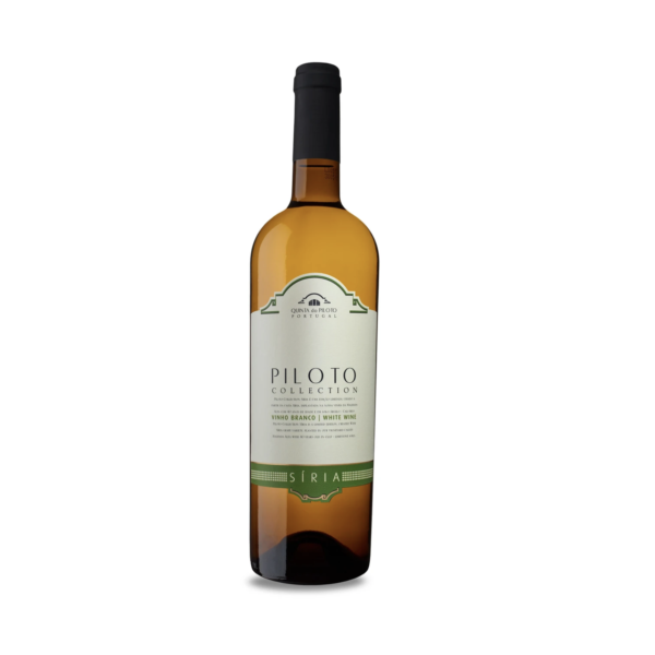 Vinho branco quinta do piloto collection Siria- Portugal