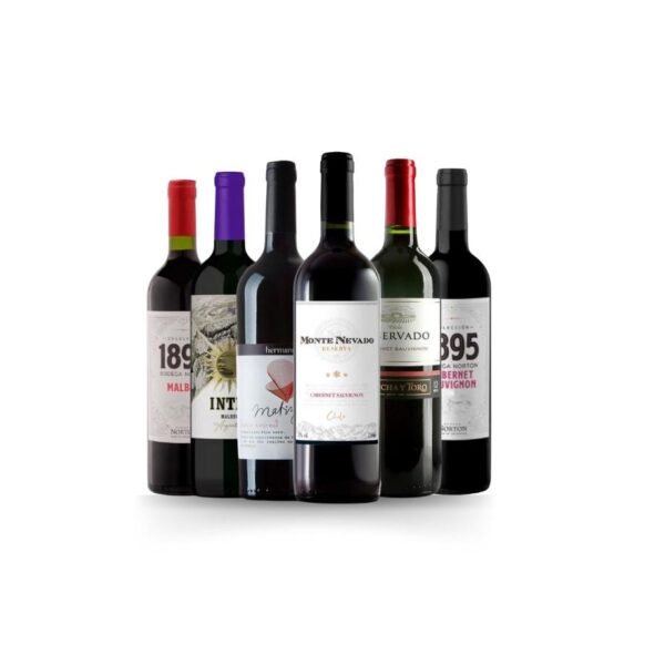 Kit 6 garrafas vinhos tintos