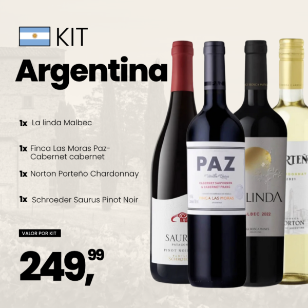 kit 4 vinhos argentinos